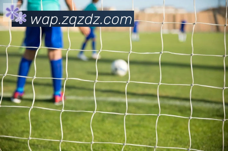 leyu乐鱼官方网站品牌故事