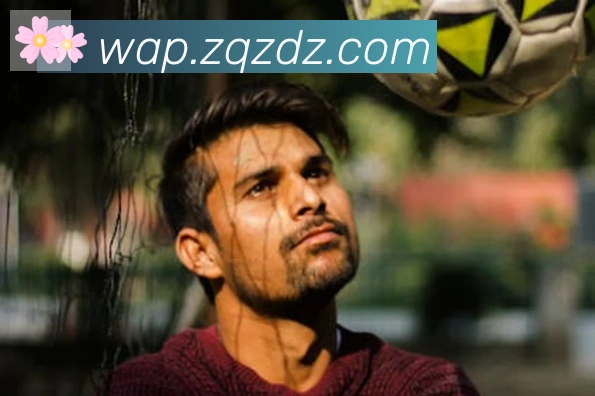 leyu乐鱼官方网站荣誉